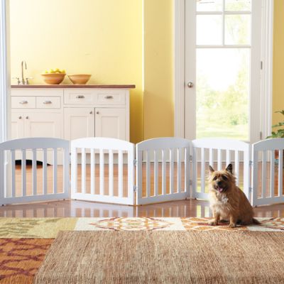 Grandin road pet gate 2025