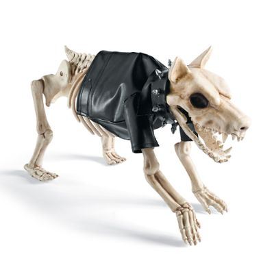 Costume for Small Skeleton Dog Grandin Road