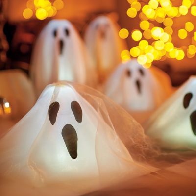 Ghost Family Grandin Road