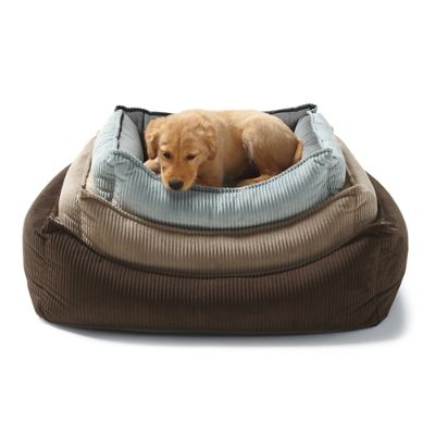 Cool Gel Memory Foam Pet Bed Grandin Road