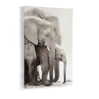 Elephant Family Wall Art Grandin Road