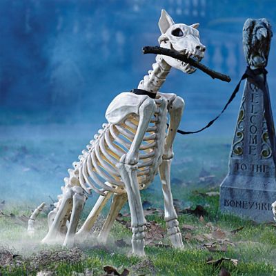 Spike the Skeleton Dog | Grandin Road