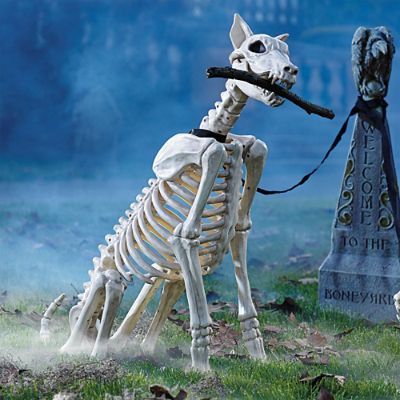 Spike the Skeleton Dog Halloween Decoration