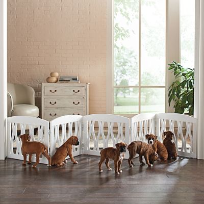 Grandin road pet gate best sale