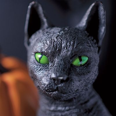 Black Cat with Glowing Eyes | Grandin Road