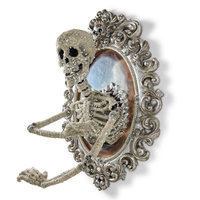Sorceress Skull Framed Mirror | Grandin Road