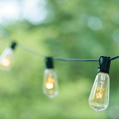 Edison Bulb Light Strand Grandin Road