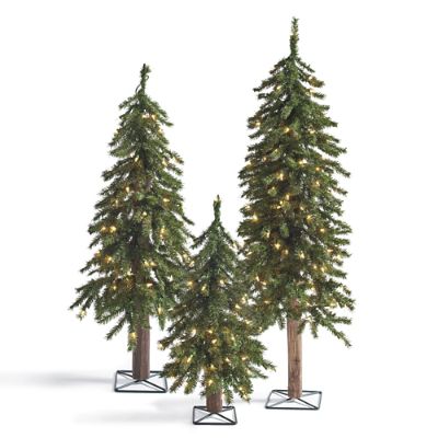 PreLit Evergreen Alpine Tree, Set of Three Grandin Road