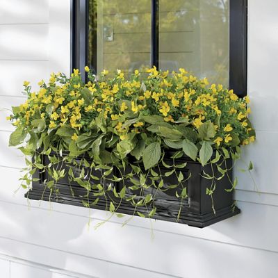 Sunshine Blooms Window Box Filler Grandin Road