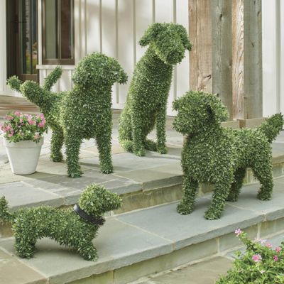 Faux Boxwood Garden Dog, Peabody