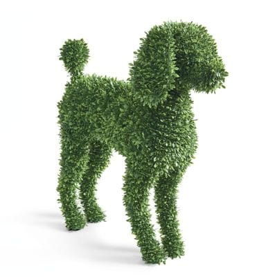 Faux Boxwood Garden Dog, Pepe | Grandin Road