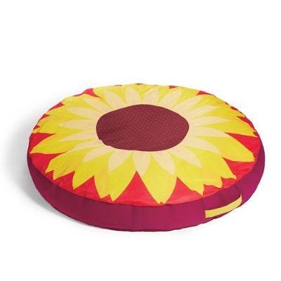 medallion pool float