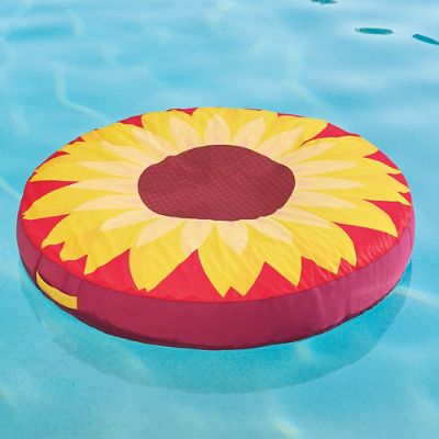 medallion pool float