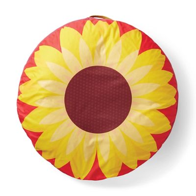medallion pool float