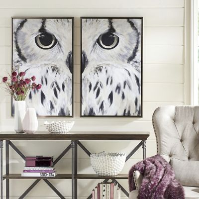 Olsen Owl Wall Art I | Grandin Road