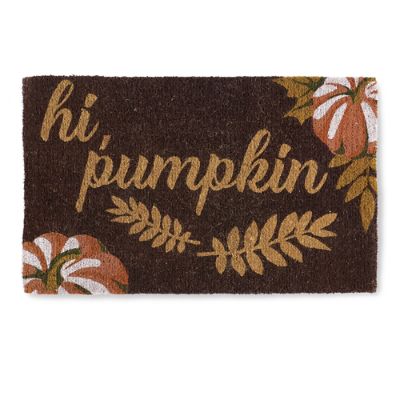 Outdoor Rugs Door Mats For Your Patio Front Door