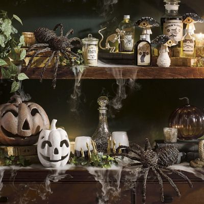 Grapevine Spiders, Set of Three | Grandin Road