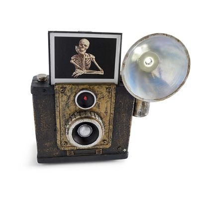Animated Haunted Camera | Grandin Road