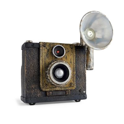 Animated Haunted Camera | Grandin Road