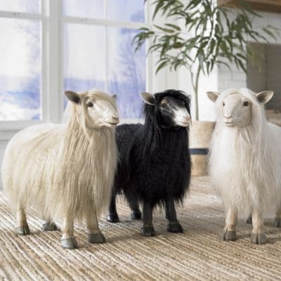 Wooly Sheep | Grandin Road