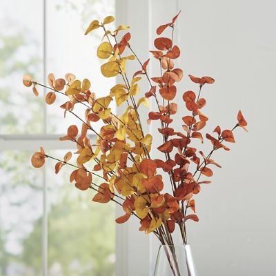Fall Eucalyptus Stems, Set of Nine | Grandin Road