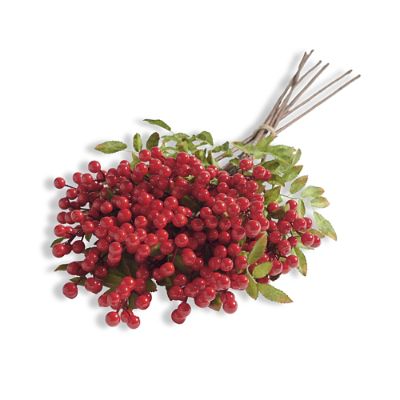 Red Berry Stems s/6