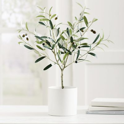 Tabletop Olive Tree Grandin Road
