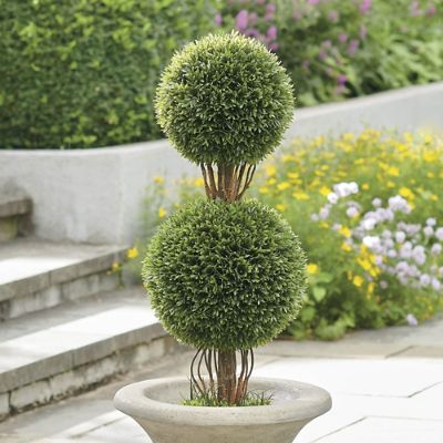 Pure Garden Artificial Podocarpus 36 Double Ball Faux Plant - 9097896