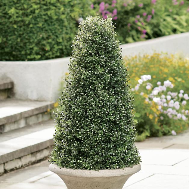 Mini Boxwood Ball Shaped Topiary Tree in Round Growers Pot Details about   Artificial 22 in 