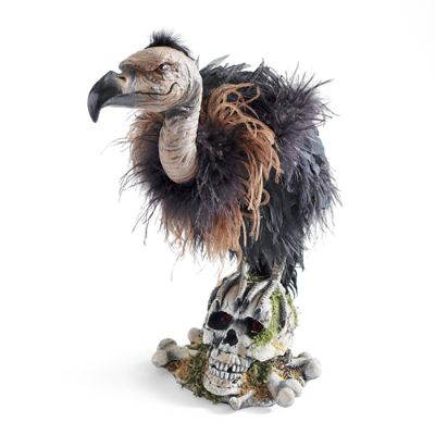 ビリヤードキューVULTURE Black vulture, Aegypius monachus, AV2713 | Tūhura Otago Museum