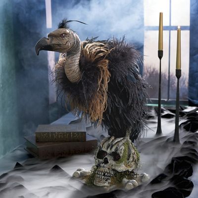Katherine's Collection Midnight Vulture | Grandin Road