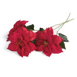 Red Poinsettia Stem, Set of Three