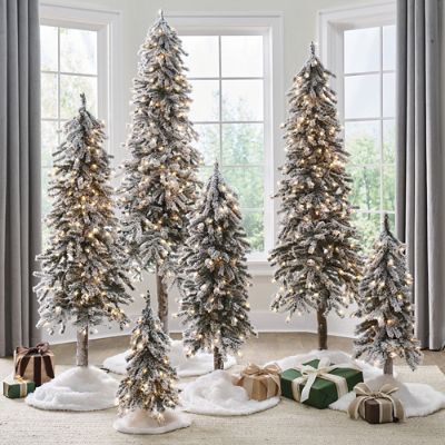 Pre lit deals alpine christmas tree