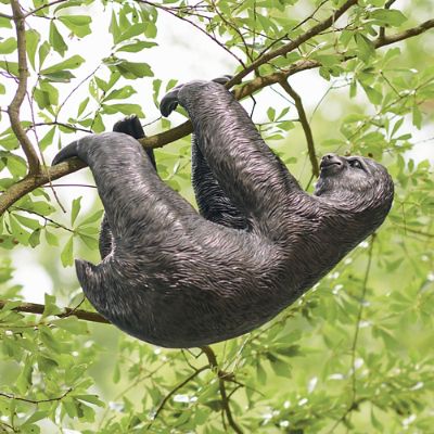 Hanging Sloth Garden Statue | Grandin Road
