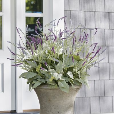 Ornamental Cabbage Urn Filler, Grandin Road