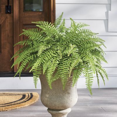 Urn Filler for Spring, Faux Fern Plant, Boston Fern, Spring Front Porch  Planter, Outdoor Urn Planter, Spring Planter Filler 