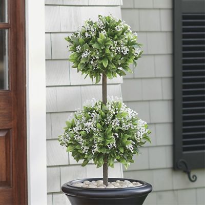 Waxleaf Privet Double Ball Topiary | Grandin Road