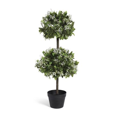 Waxleaf Privet Double Ball Topiary Grandin Road