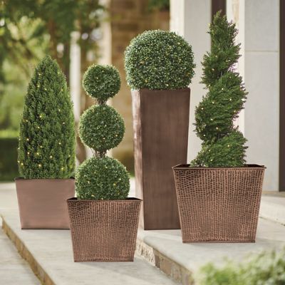 Pre-Lit Pond Cypress Spiral Topiary | Grandin Road