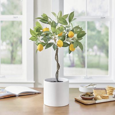 Potted Tabletop Lemon Tree Grandin Road