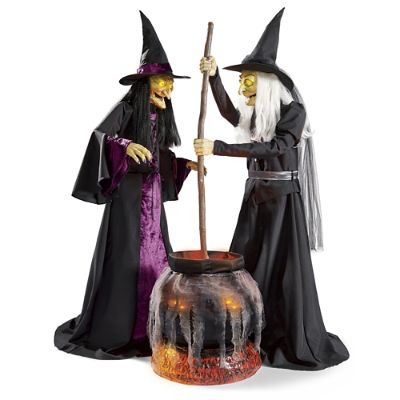 Deluxe Animated Brewing Witch Duo | Grandin Road