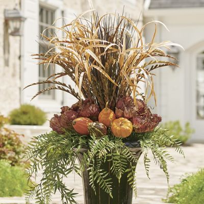 Ornamental Cabbage Urn Filler, Grandin Road