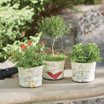 Sprout Planters Grandin Road