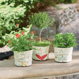 Sprout Planters