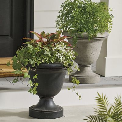 Trianon Topiary Pedestal Planter | Grandin Road