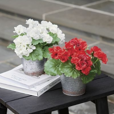 Geranium Tabletop Mini Urn Filler