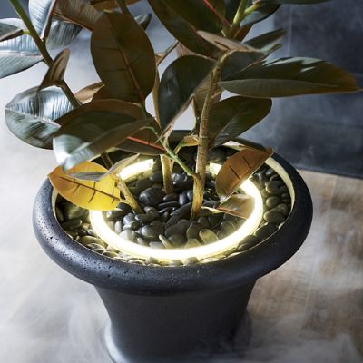 Planter Ring Light, Set of Two | Grandin Road