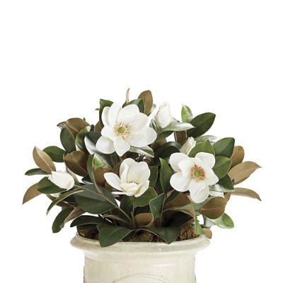 Magnolia Blossom Planter Filler - Ballard Designs
