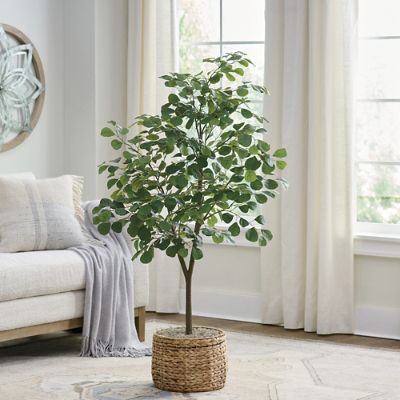 Eco Convert Triangle Fig Tree