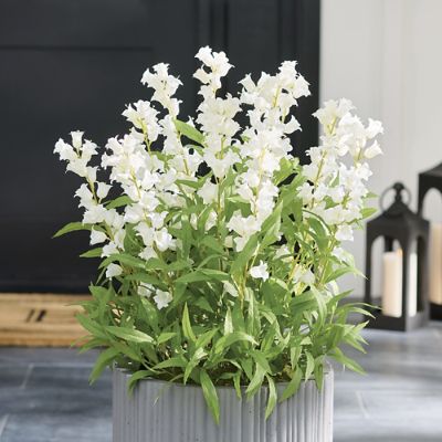 Bellflower Urn Filler Grandin Road